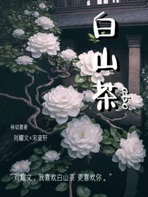 白山茶abo