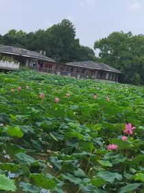 随鹤而安