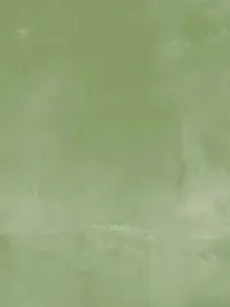 第四天灾：我的玩家重建文明