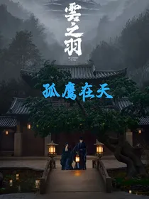 云之羽：孤鹰在天