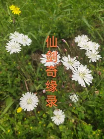 仙剑奇缘录
