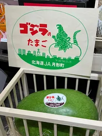 哥斯拉从一颗蛋开始