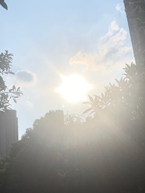 苏新皓：白日做梦