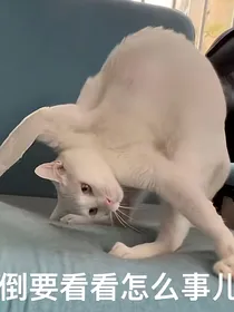 凹凸世界，我的故事