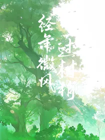 经年微风过林梢