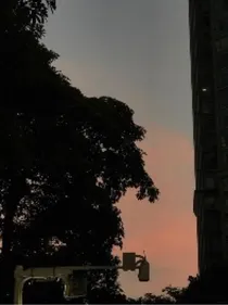 遗忘的光
