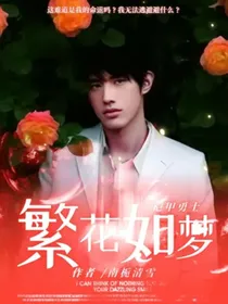铠甲勇士：繁花如梦