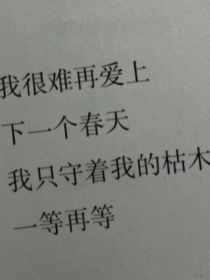 小花仙之隐藏的爱恋