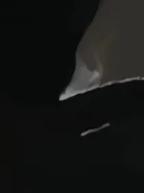 恐怖日常日记
