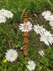 王者归来是少年