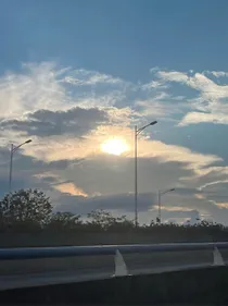 张峻豪：豪竹哀丝