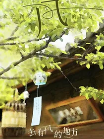 去有风的地方：夏恋相逢