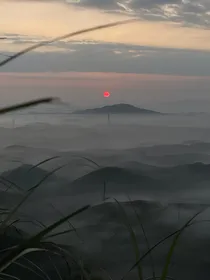 黑夜里的白日梦