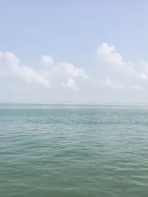 爱上厕所的兰同学