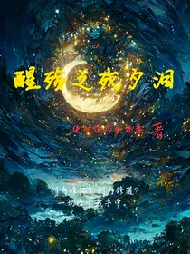 醒殇之残夕泪