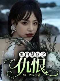 黑白禁区之仇恨