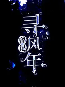 曾记寻风年
