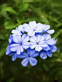 我乱写短篇