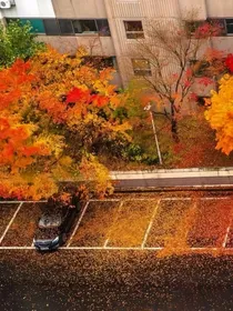 平行困局