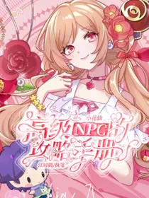 小花仙：高级NPC的攻略手册