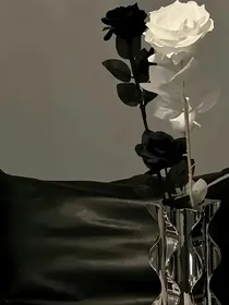 情字难解，失落难遮