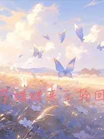 梦蝶！！！