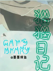 猫猫小日记