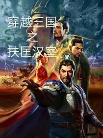 穿越三国之扶匡汉室