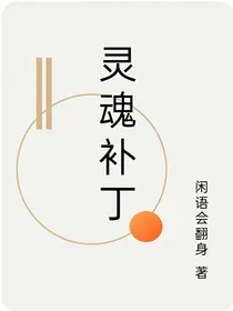 灵魂补丁