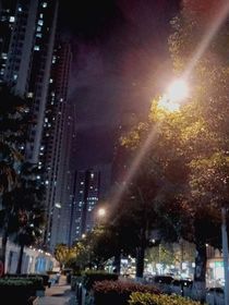 何其予幸