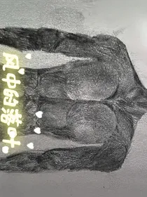 风中的落叶
