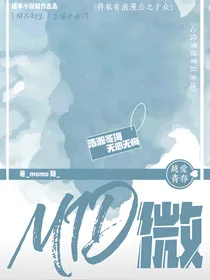 MID微