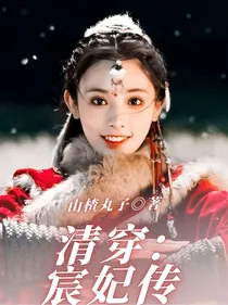 清穿：宸妃传