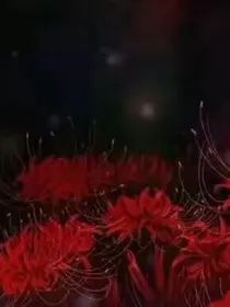 云梦花开