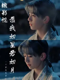 综影视：愿我如心君如月
