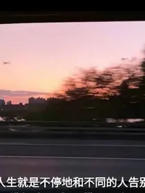 再见己是陌路人