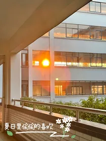 夏日里偷偷的喜欢