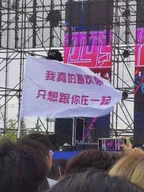 写一封情书