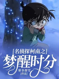名侦探柯南之梦醒时分