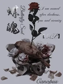（HP）蝶魄