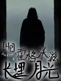 hp霍格沃兹：长埋月光