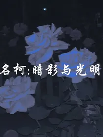 名柯：暗影与光明