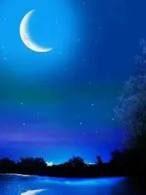 成为顶流的化妆师后，我爆红了
