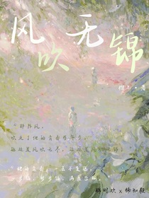 风吹无锦