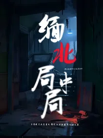 缅北局中局