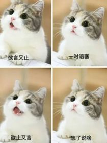 以梦为马，不负少华-d666