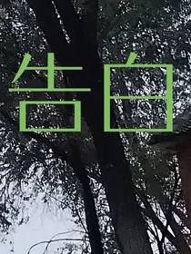 迟钝的告白