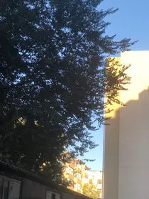 故事的开始—