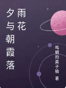 夕与朝霞落雨花（别名：他在夜里看星辰）