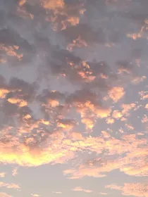 余鱼杂货铺